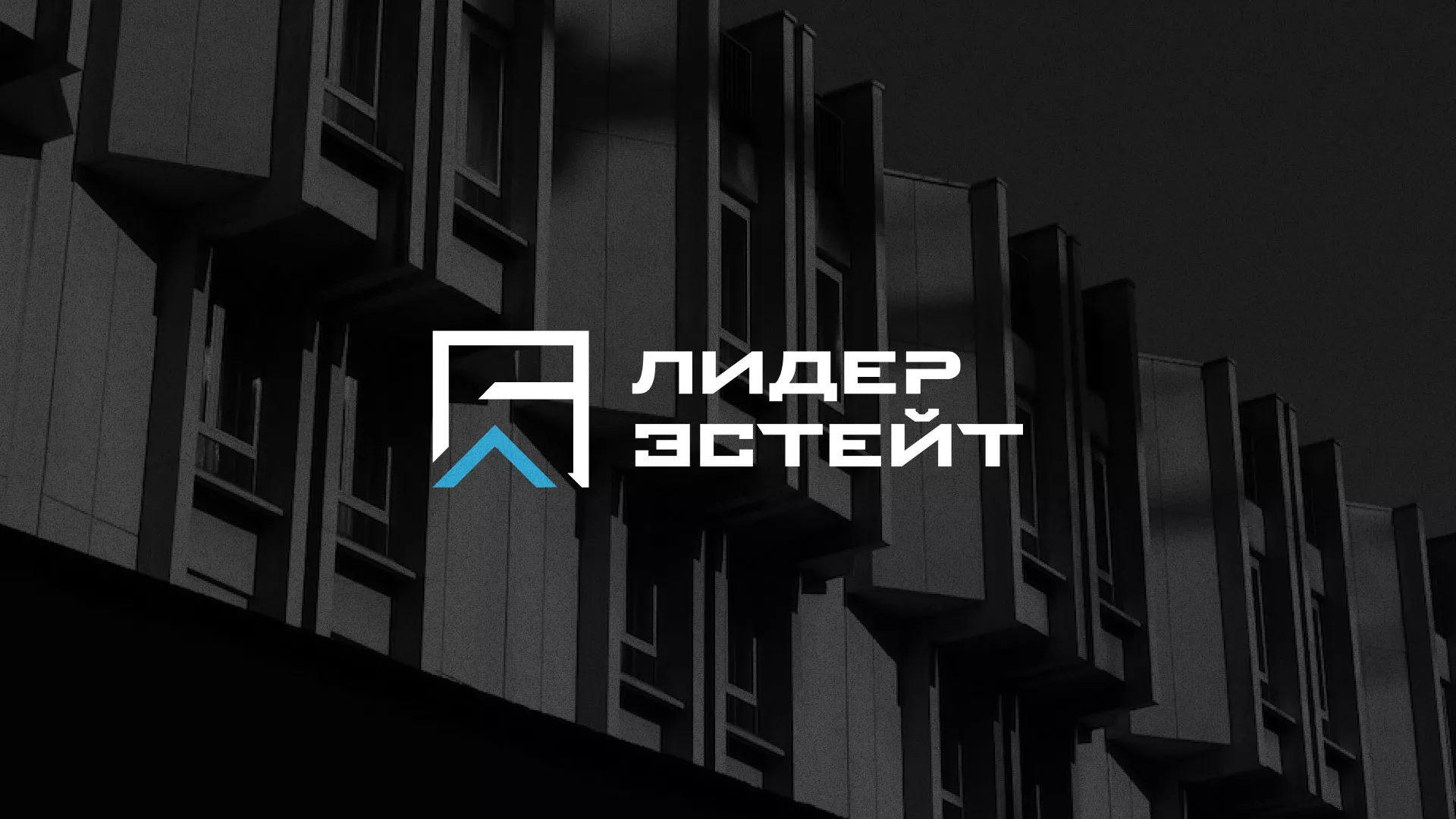 Разработка логотипа агентства недвижимости «Лидер Эстейт» в Гремячинске